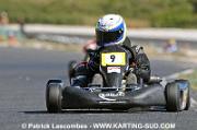 DSC_7162 copie